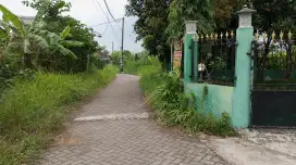 Di cari mitra pentol juara