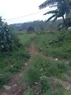 di jual lahan bisa untuk peternakan di Cipanas Kutawaringin cianjur