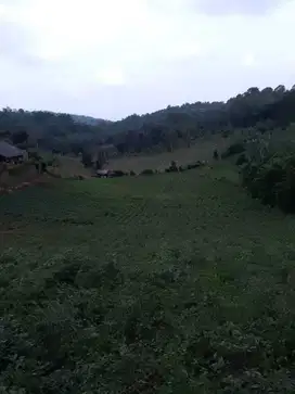 di jual lahan di Kutawaringin Sukaresmi cianjur