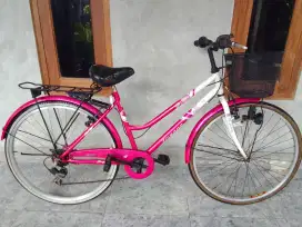 Sepeda keranjang 26,