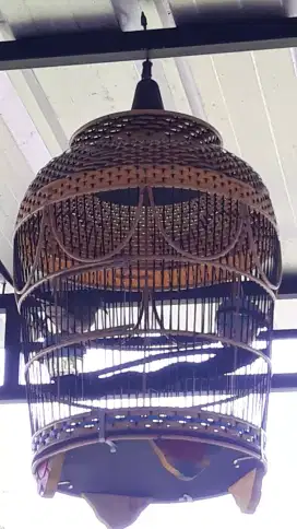 Sangkar perkutut