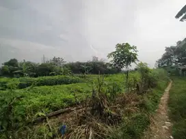 Dijual Tanah Kavling Berkah ,Legalitas SHM Bojong Gede Cocok Investasi