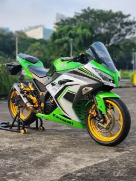 Kawasaki Ninja 250 FI ABS Modif