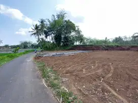 Tanah Kavling Berkah ,Harga Bersahabat Tajur Halang  Cocok Bangun Kost