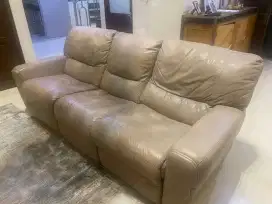 Sofa not cellini cheers kulit