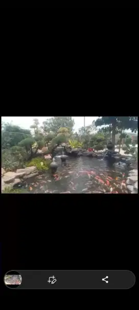 Jasa kolam ikan