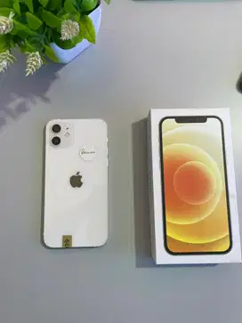 Iphone 12 Bea Cukai Sinyal Terdaftar