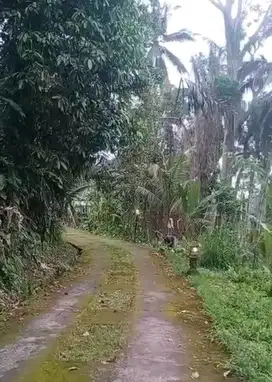 DI JUAL TANAH LOS SUNGAI, KENDRAN, TEGALLALANG, UBUD