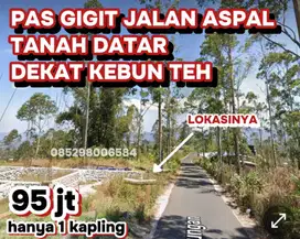 TANAH MURAH DI MALINO PINGGIR JALAN ASPAL DEKAT KEBUN STRAWBERI