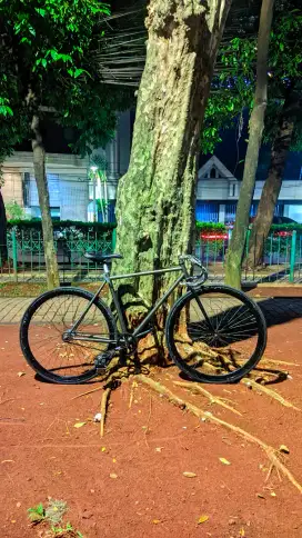 fixie lokal L ukuran S