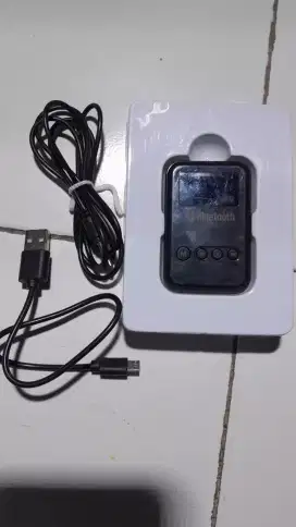 Bluetooth Transmitter Audio