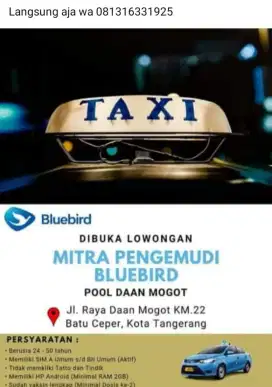 Driver blue bird