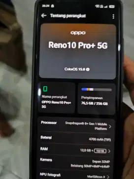 Oppo reno 10 pro plus 5G 12/256
