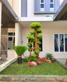 Tukang taman murah