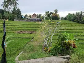 Investasi Menarik Tanah Eksotis View Laut di Bali