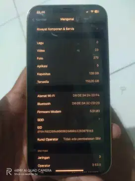 iPhone 12 promax