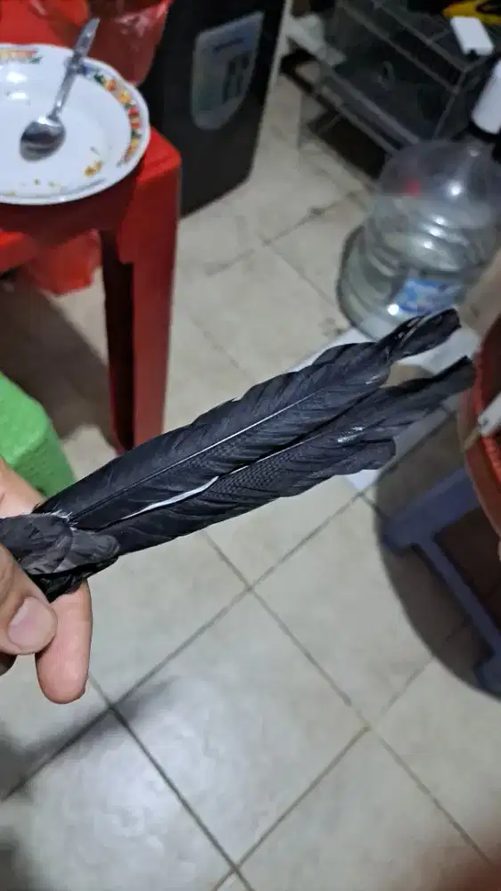 Dual murai batu trah blorok pastolan .