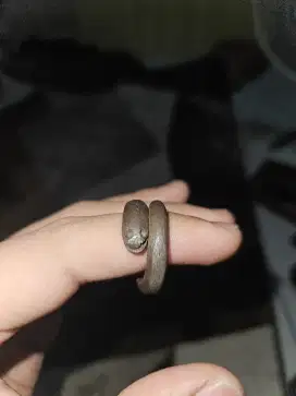 Cincin welut wesi aji
