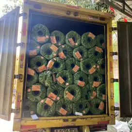 Karpet Rumput Sintetis 1 Roll 2M X 25M Harga Pabrik