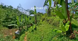 Dijual CEPAT  Tanah Potensial Untuk Usaha Di Sukabumi
