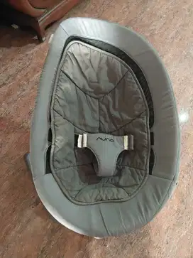 Bouncer Nuna Leaf