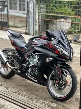 kawasaki Ninja 250fi 2014