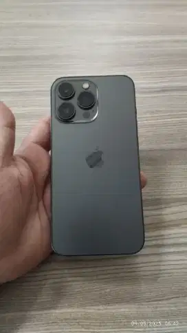 iPhone 13 Pro 256 ibox