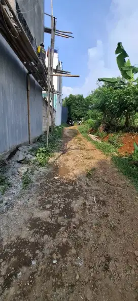 TANAH MURAH BULUSAN UNDIP TEMBALANG