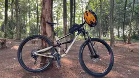 Polygon sisku d7