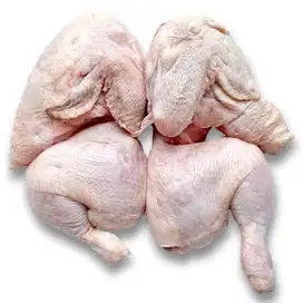 JUAL AYAM POTONG DAN FILLET TERBAIK DAN MURAH