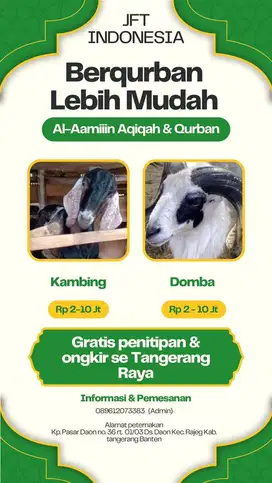 Kambing Domba Qurban Hemat 2025