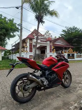 Cbr 250RR BE gress