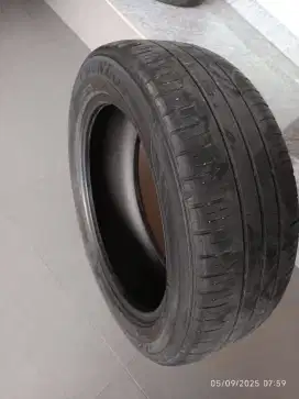 Ban Xpander dunlop enasave 205 55 R17