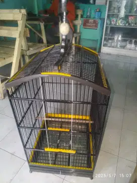 Jual sangkar burung