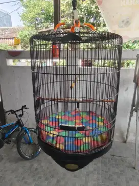Kandang murai no 2 radja masih layak pakai