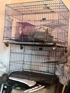 Kandang kucing anjing kelinci sugar glider besar murah