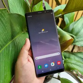 Samsung Galaxy Note 8 6/64gb Dual Sim Resmi Sein