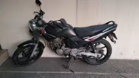 Motor Tiger Terawat