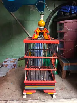 Kandang burung kecil, pleci ciblek aman