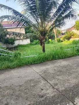 DIJUAL TANAH KAVLING MURAH – BUTUH UANG, JUAL CEPAT CASH 2 MILYAR!