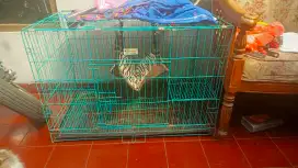 Kandang kucing bekas bagus