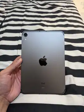 Ipad mini gen 6 celluler + wifi