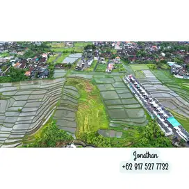 Dijual Tanah Kavling View Sawah Dekat Canggu - Lsang