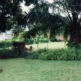 Kaveling Taman Golf Karawaci, Jarang Ada