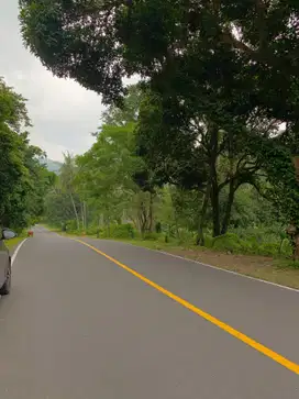 Tanah pinggir pantai Gili Layar