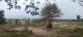 Disewakan tanah pilangrejo gunung kendil madiun jatim