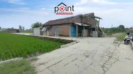 usaha penggilingan padi (rice mills)