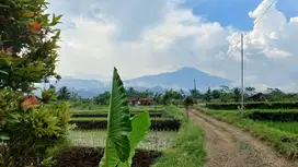 TANAH PURWOKERTO TERLARIS DENGAN VIEW EKSOTIS GUNUNG SLAMET