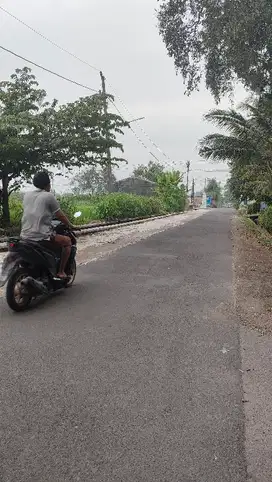 Dijual sawah zona kuning di manisrenggo akses mobil papasan