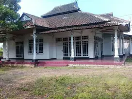 Tanah, sawah aktif plus rumah view Gunung Gede di Cianjur